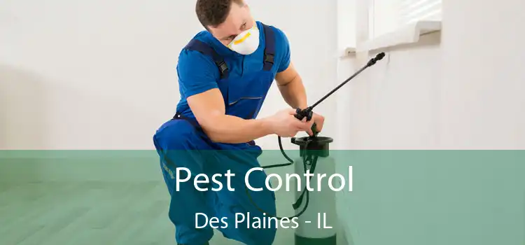  Pest Control Des Plaines - IL