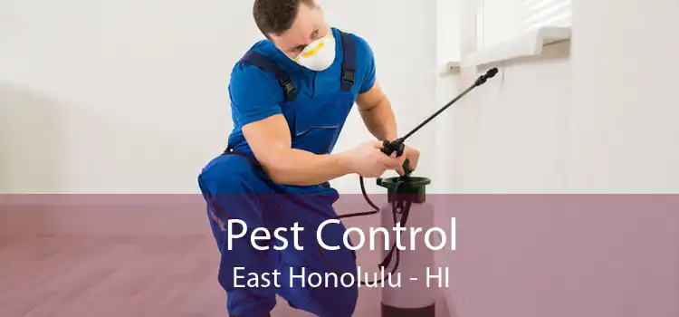 Pest Control East Honolulu - HI