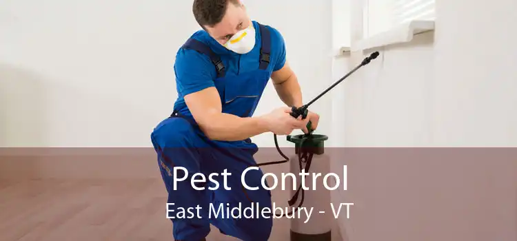 Pest Control East Middlebury - VT