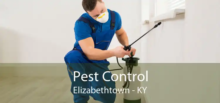 Pest Control Elizabethtown - KY