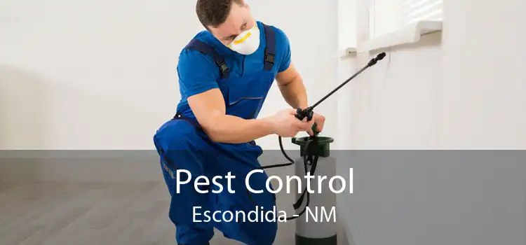 Pest Control Escondida - NM