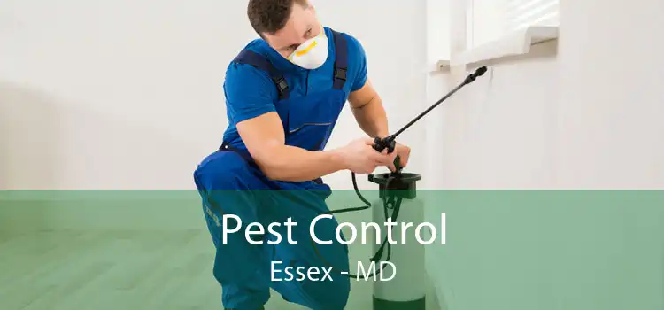Pest Control Essex - MD