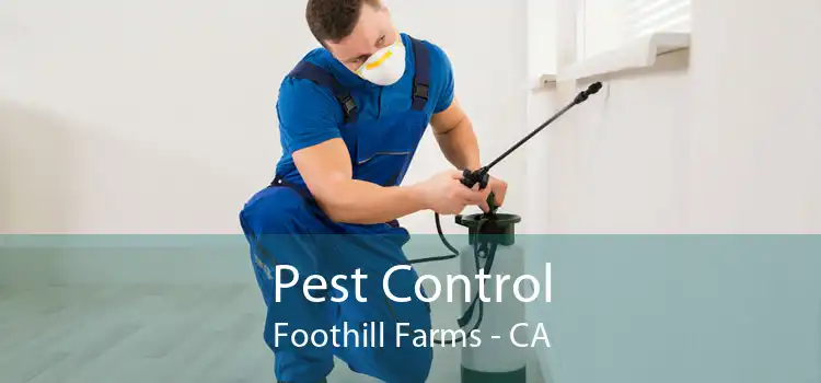 Pest Control Foothill Farms - CA