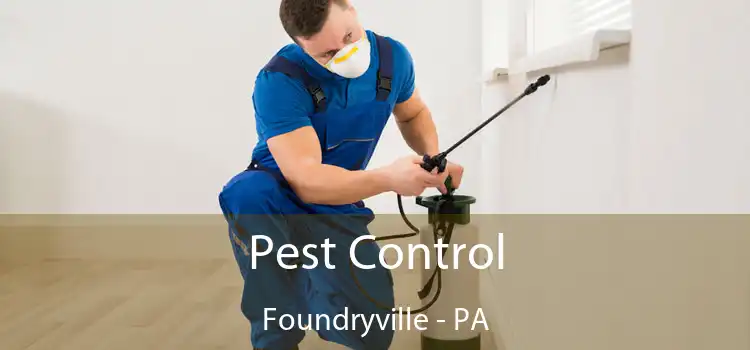 Pest Control Foundryville - PA