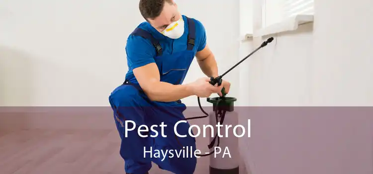 Pest Control Haysville - PA