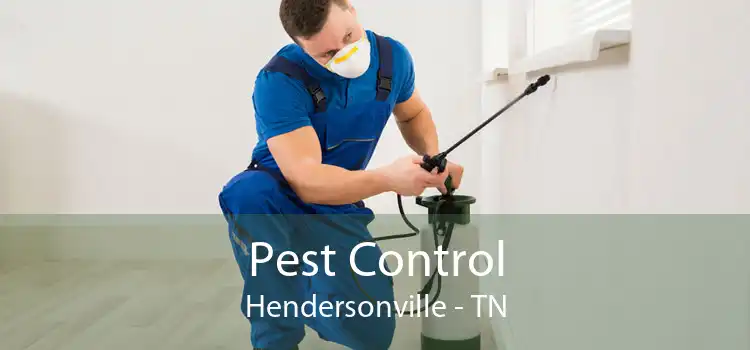 Pest Control Hendersonville - TN