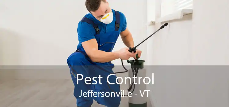 Pest Control Jeffersonville - VT