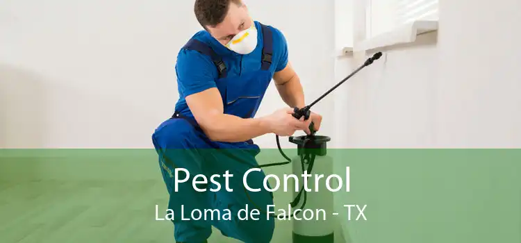 Pest Control La Loma de Falcon - TX