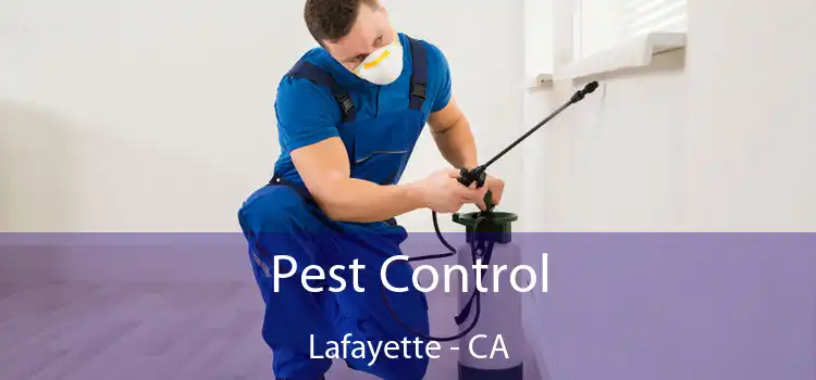  Pest Control Lafayette - CA