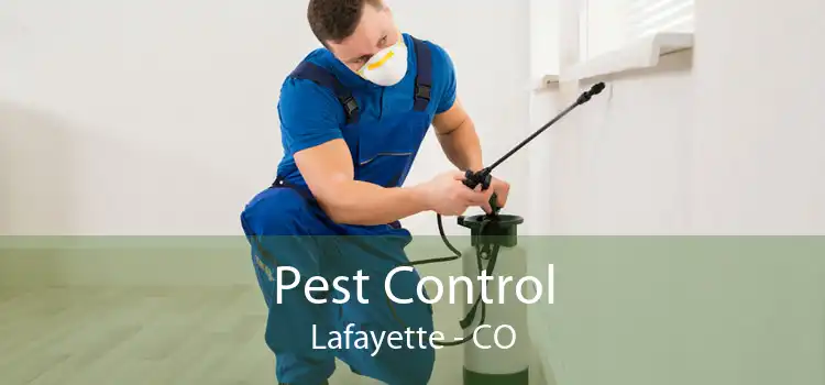 Pest Control Lafayette - CO