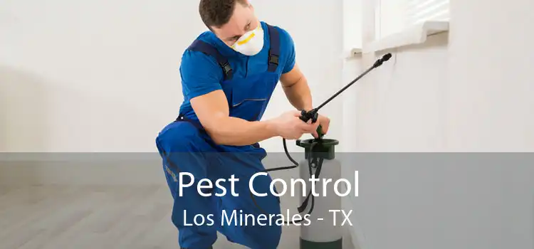Pest Control Los Minerales - TX