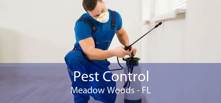Pest Control Meadow Woods - FL