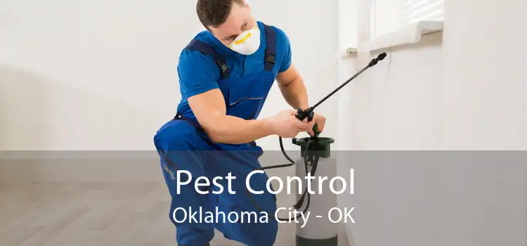 Pest Control Oklahoma City - OK