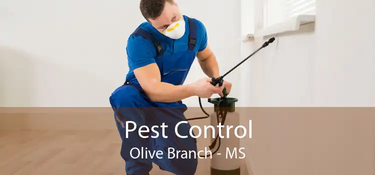 Pest Control Olive Branch - MS