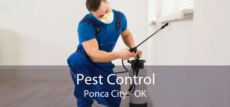 Pest Control Ponca City - OK