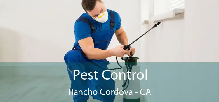  Pest Control Rancho Cordova - CA