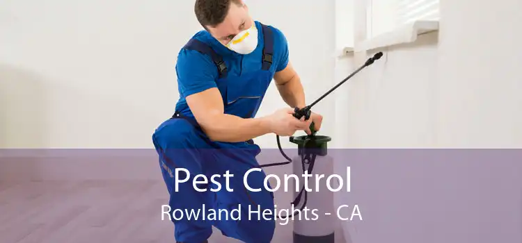Pest Control Rowland Heights - CA