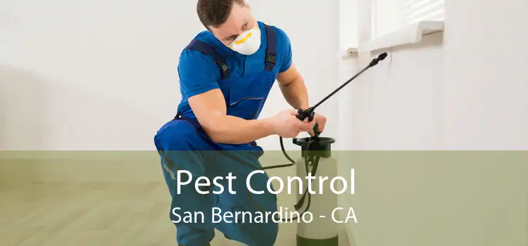 Pest Control San Bernardino - CA