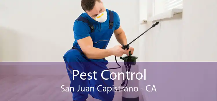 Pest Control San Juan Capistrano - CA
