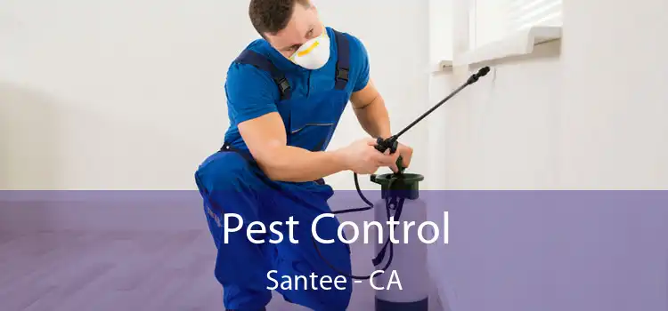 Pest Control Santee - CA