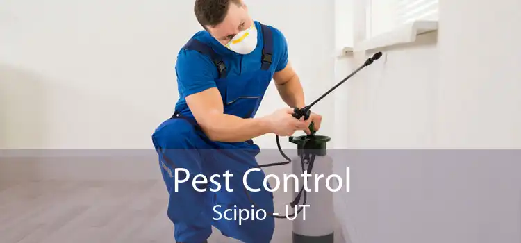 Pest Control Scipio - UT
