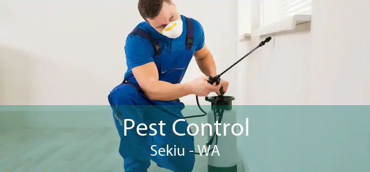 Pest Control Sekiu - WA