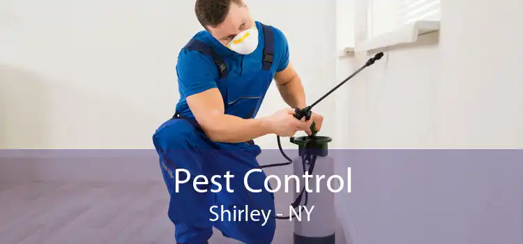 Pest Control Shirley - NY
