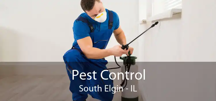 Pest Control South Elgin - IL