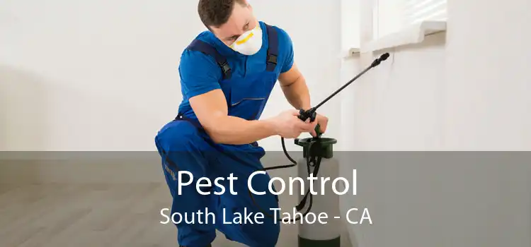 Pest Control South Lake Tahoe - CA