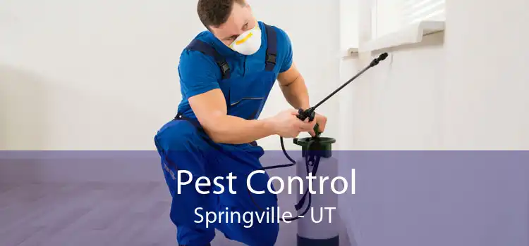 Pest Control Springville - UT