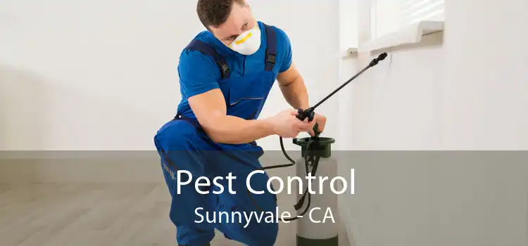 Pest Control Sunnyvale - CA