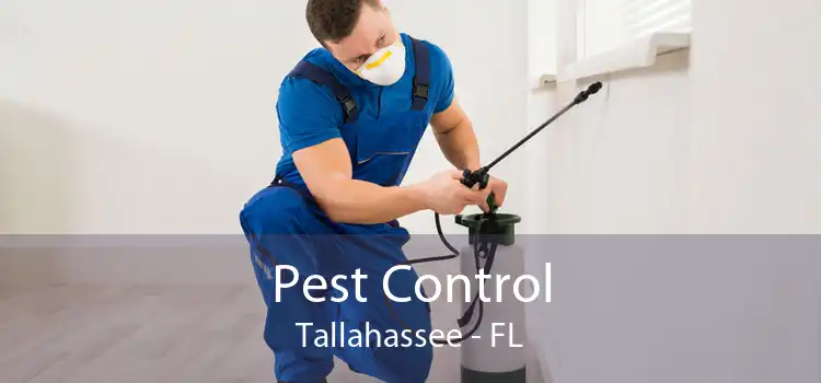 Pest Control Tallahassee - FL