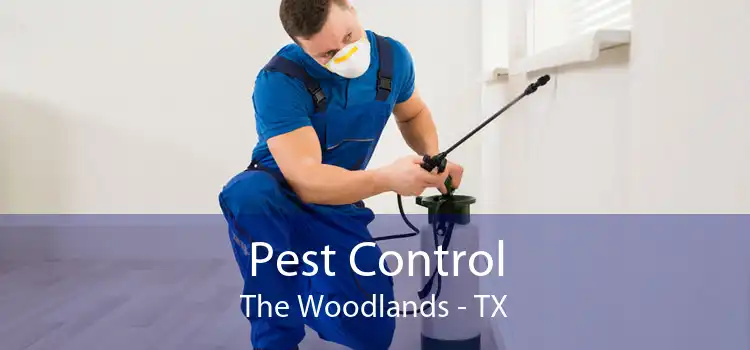 Pest Control The Woodlands - TX