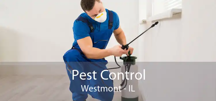 Pest Control Westmont - IL