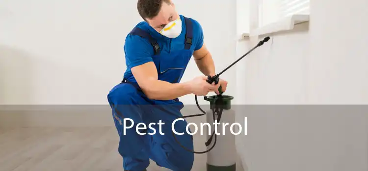 Pest Control 