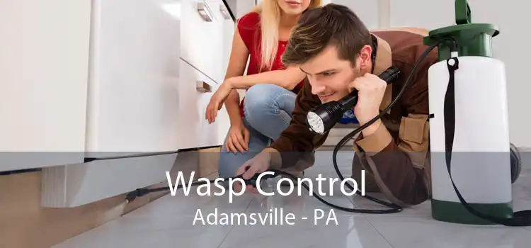 Wasp Control Adamsville - PA