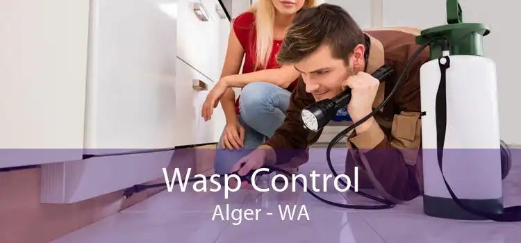 Wasp Control Alger - WA