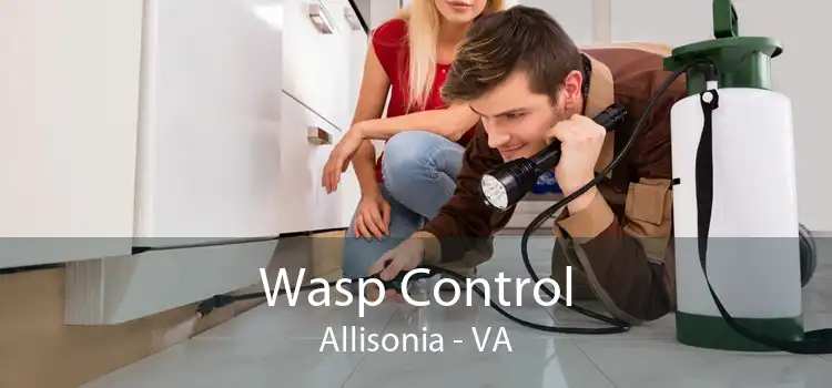 Wasp Control Allisonia - VA
