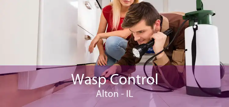 Wasp Control Alton - IL
