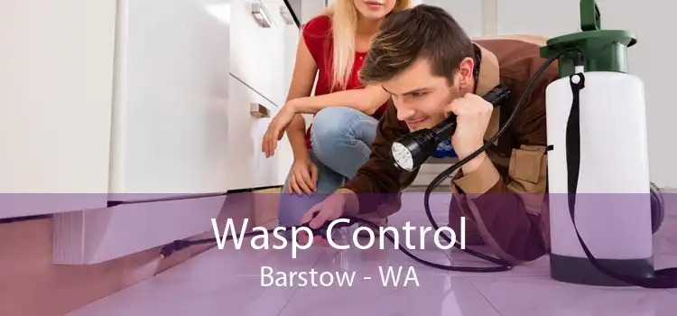 Wasp Control Barstow - WA