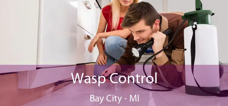  Wasp Control Bay City - MI