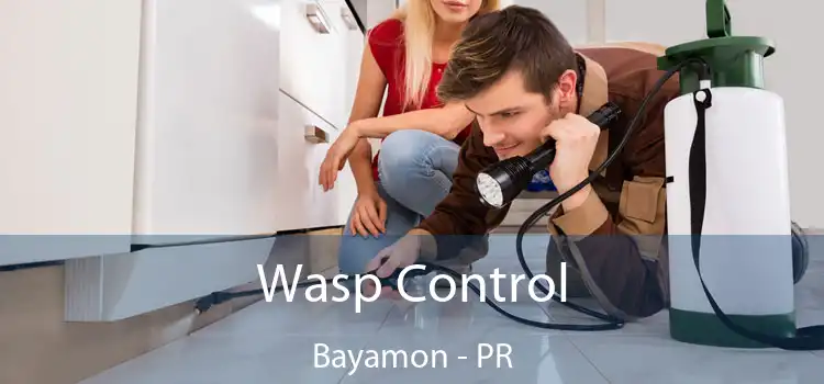  Wasp Control Bayamon - PR