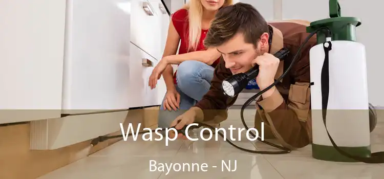 Wasp Control Bayonne - NJ