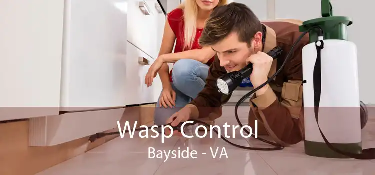 Wasp Control Bayside - VA