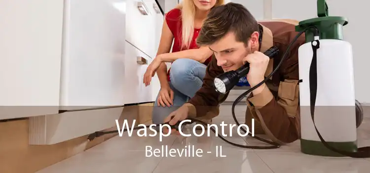 Wasp Control Belleville - IL