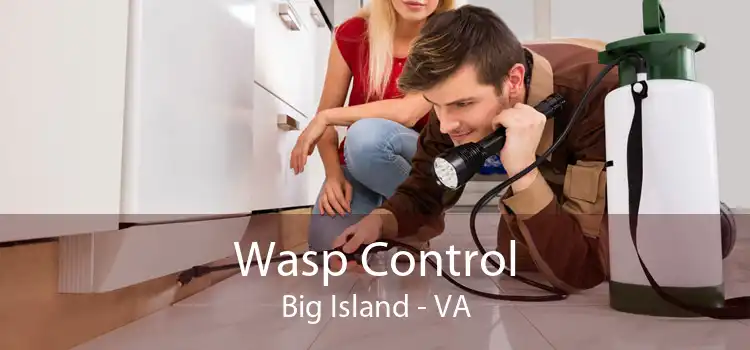 Wasp Control Big Island - VA