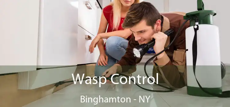  Wasp Control Binghamton - NY