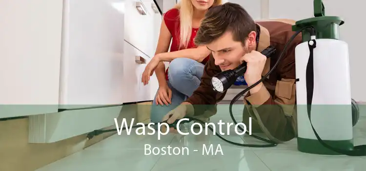 Wasp Control Boston - MA