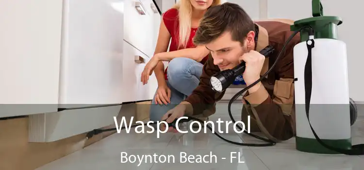  Wasp Control Boynton Beach - FL