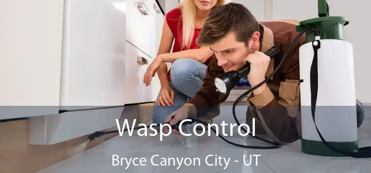  Wasp Control Bryce Canyon City - UT